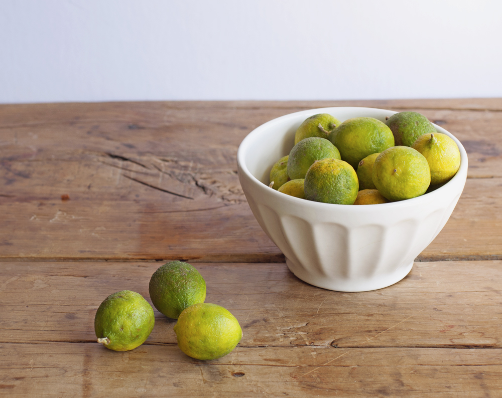 Key Lime Pie Minis | Plum Pie