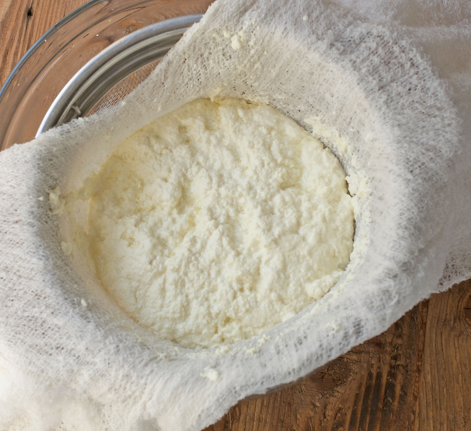 Homemade Ricotta Cheese | Plum Pie
