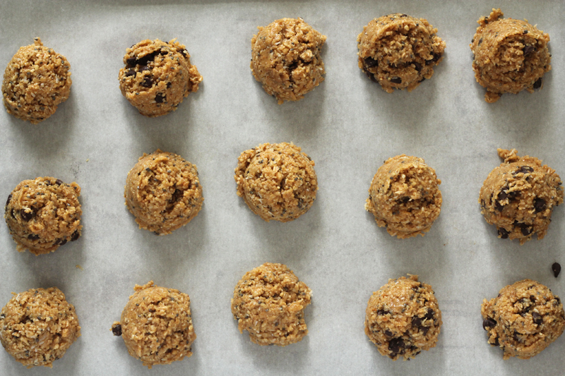 Protein Balls (No Bake!) - Weelicious